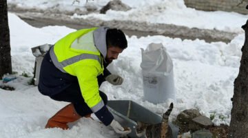 Karabük Belediyesi’nden Soğuk Havalarda Sokak Hayvanlarına Destek