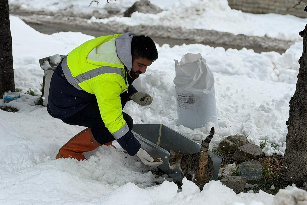 Karabük Belediyesi’nden Soğuk Havalarda Sokak Hayvanlarına Destek