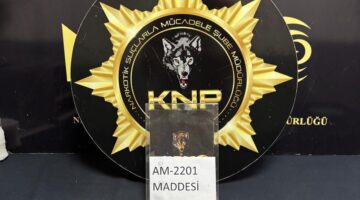 Karabük’te Uyuşturucu Operasyonları: 2 Tutuklama